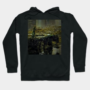 CONTEMPLATION Hoodie